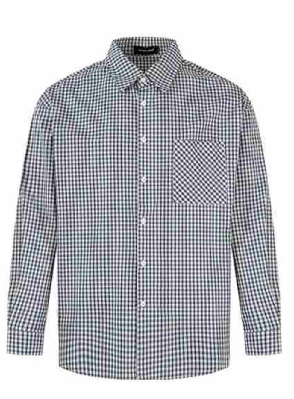 Green Gingham Long Sleeve Shirt